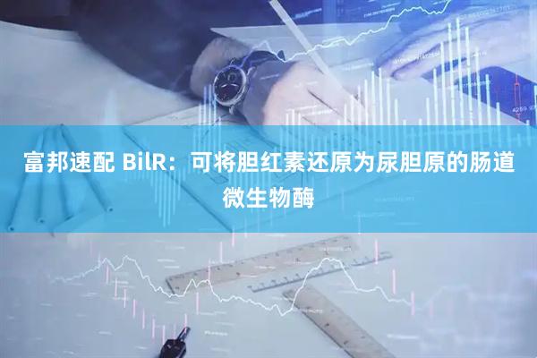 富邦速配 BilR：可将胆红素还原为尿胆原的肠道微生物酶