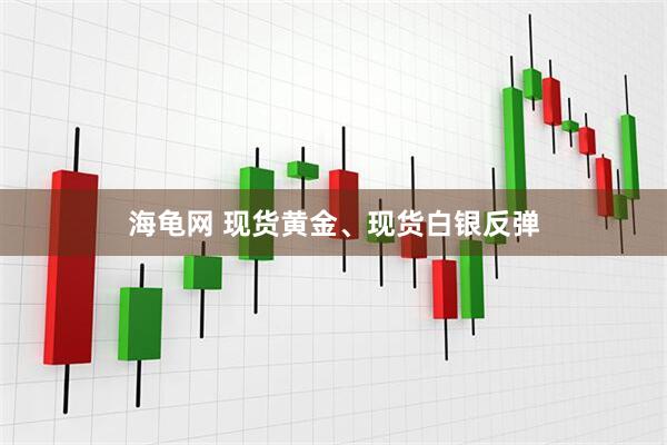 海龟网 现货黄金、现货白银反弹