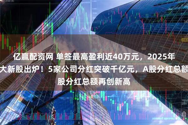 亿赢配资网 单签最高盈利近40万元，2025年最赚钱十大新股出炉！5家公司分红突破千亿元，A股分红总额再创新高