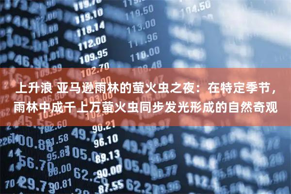 上升浪 亚马逊雨林的萤火虫之夜：在特定季节，雨林中成千上万萤火虫同步发光形成的自然奇观